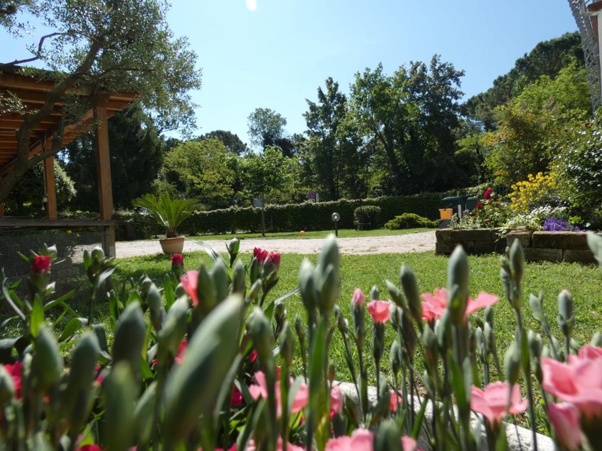 Antonella'S Home Cavallino-Treporti Extérieur photo